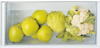 Hotpoint Hotpoint HS 12 A1 D.UK 2 211 Litres Low Frost Built-In Larder ( HS12A1DUK2 ) Integrated Fridge White