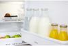 Indesit IL A1.UK.1  ( ILA1 ) 146Litres Integrated Fridge White